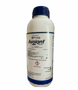Avolant 1L