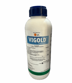 Vigold 1L