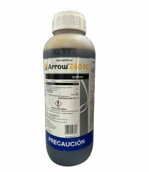 Arrow 240 EC