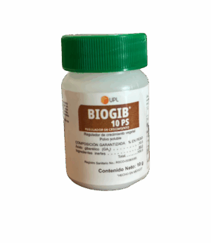 Biogib 10g