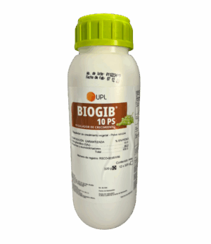 Biogib 10 PS