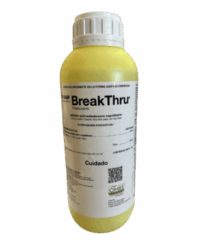 Break Thru