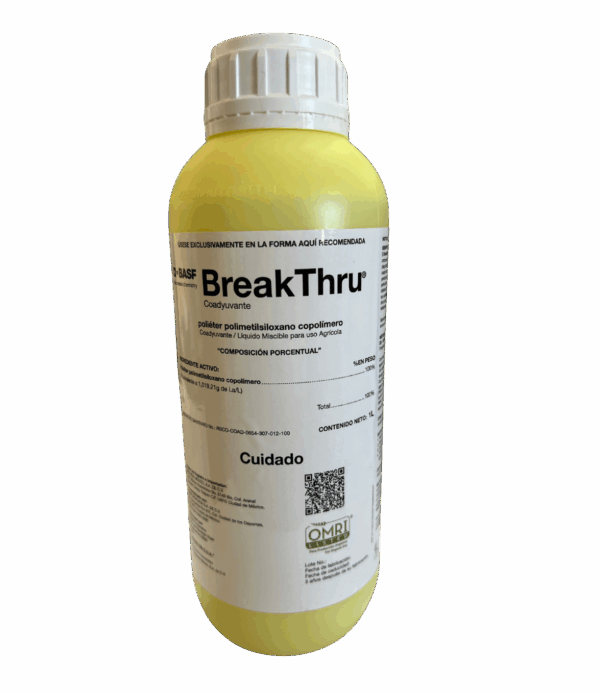 Break Thru
