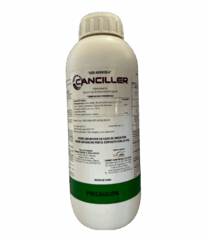 Canciller 1L