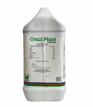 Creci Plant 5L