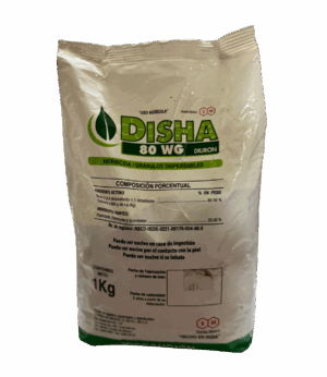Disha 80 wg
