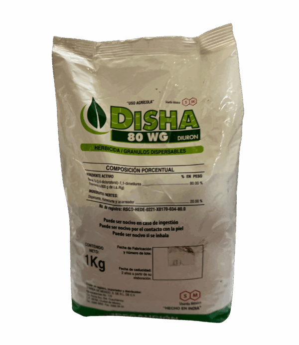 Disha 80 wg