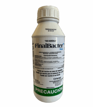 Finalbacter Max