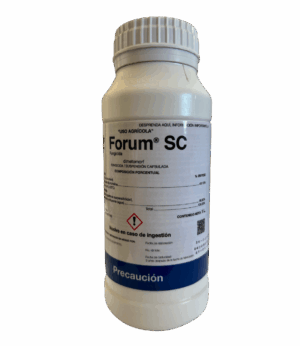 Forum SC 1L
