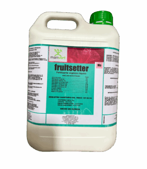 Manvert Fruisetter 5L