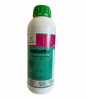 Manvert Fruitsetter