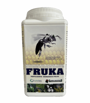 Fruka