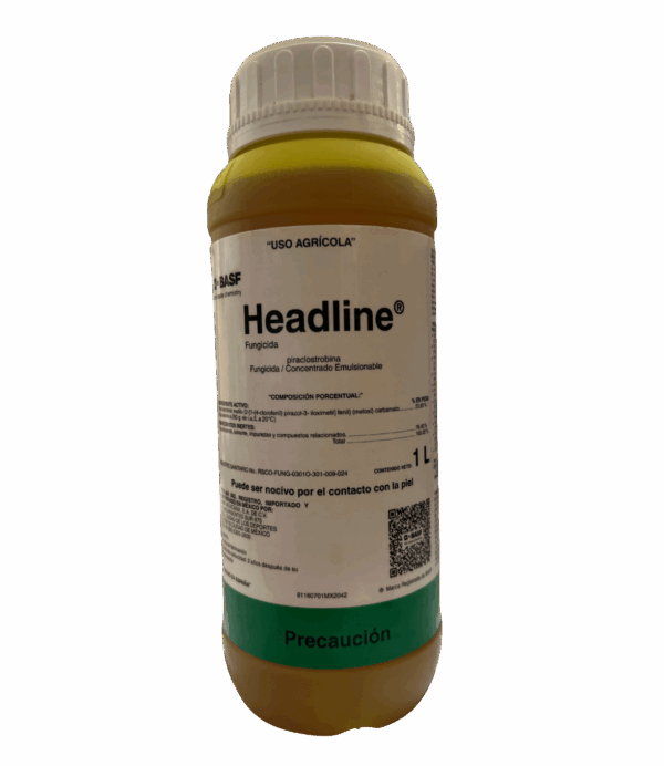Headline 1L
