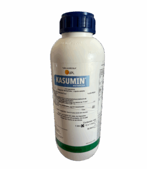 Kasumin 1L