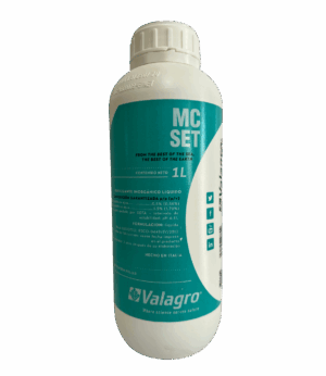 MC Set 1L
