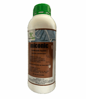 Manvert Miconic