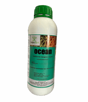Manvert Ocean 1L