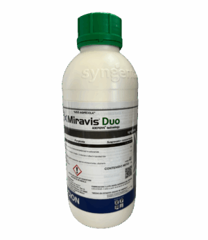 Maravis Duo 1L