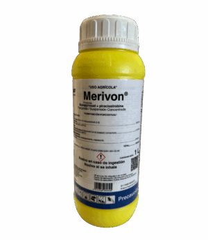 Merivon 1LT