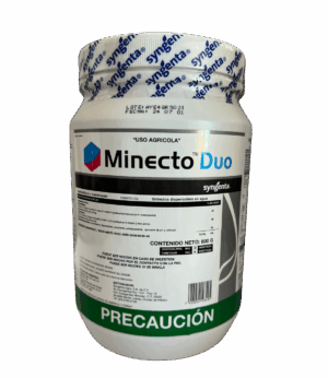 Minecto Duo