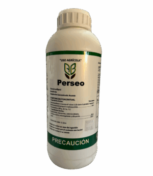 Perseo 1L