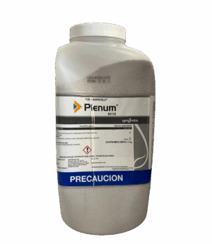 Plenum 50 gs