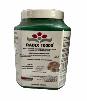 Radix 10000