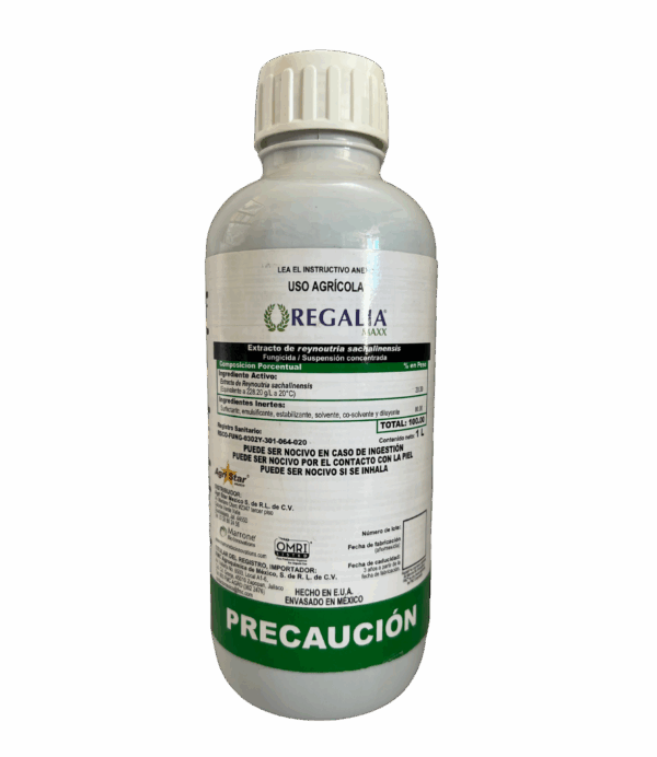 Regalia Maxx