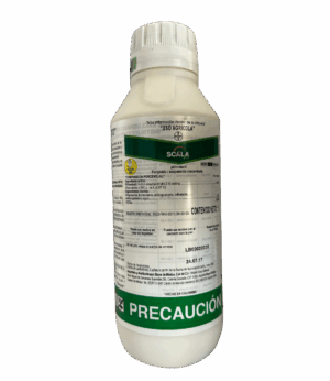 Scala SC