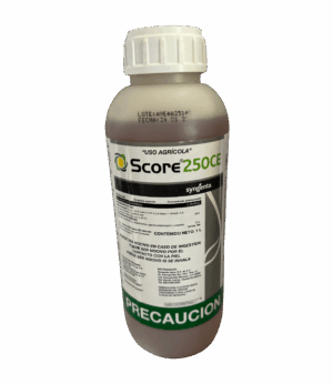 Score 250CE