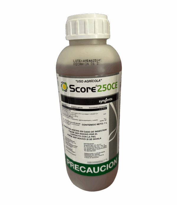 Score 250CE