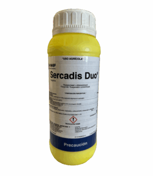 Sercadis Duo
