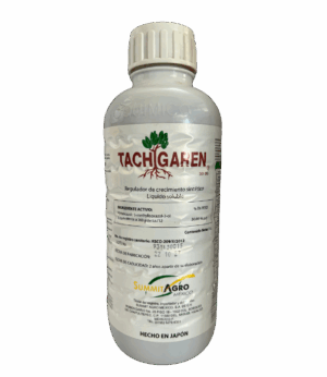 Tachigaren 1L