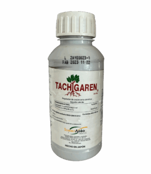 Tachigaren 500